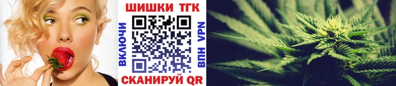 Как найти закладки Светлогорск Гашиш  Бошки Шишки  Амфетамин  Меф мяу мяу  Alpha-PVP 