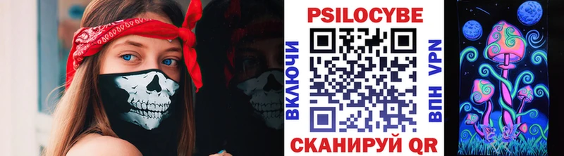 как найти закладки  Светлогорск  Галлюциногенные грибы GOLDEN TEACHER 