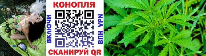 Бошки Шишки THC 21%  кракен ONION  Светлогорск 